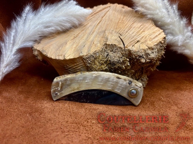 Couteau de berger Corse traditionnel Curnicciolu Fabianu petit modèle 13062615 – Image 4